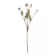 Artificial Garden POPPY FRUIT BRANCH 21433 Τεχνητό Διακοσμητικό Κλαδί Παπαρούνα Y60cm Artificial Garden POPPY FRUIT BRANCH 21433 Τεχνητό Διακοσμητικό Κλαδί Παπαρούνα Y60cm