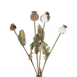 Artificial Garden POPPY FRUIT BRANCH 21433 Τεχνητό Διακοσμητικό Κλαδί Παπαρούνα Y60cm