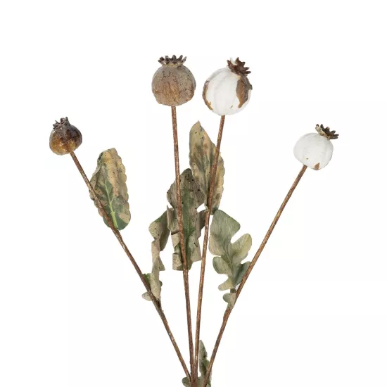 Artificial Garden POPPY FRUIT BRANCH 21433 Τεχνητό Διακοσμητικό Κλαδί Παπαρούνα Y60cm Artificial Garden POPPY FRUIT BRANCH 21433 Τεχνητό Διακοσμητικό Κλαδί Παπαρούνα Y60cm