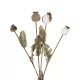 Artificial Garden POPPY FRUIT BRANCH 21433 Τεχνητό Διακοσμητικό Κλαδί Παπαρούνα Y60cm Artificial Garden POPPY FRUIT BRANCH 21433 Τεχνητό Διακοσμητικό Κλαδί Παπαρούνα Y60cm