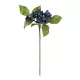 Artificial Garden BLUBERRIES FRUIT BRANCH 21434 Τεχνητό Διακοσμητικό Κλαδί Μπλε Μύρτιλο Y30cm Artificial Garden BLUBERRIES FRUIT BRANCH 21434 Τεχνητό Διακοσμητικό Κλαδί Μπλε Μύρτιλο Y30cm