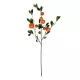 Artificial Garden ORANGE FRUIT BRANCH 21435 Τεχνητό Διακοσμητικό Κλαδί Πορτακαλιά Y83cm Artificial Garden ORANGE FRUIT BRANCH 21435 Τεχνητό Διακοσμητικό Κλαδί Πορτακαλιά Y83cm