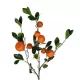 Artificial Garden ORANGE FRUIT BRANCH 21435 Τεχνητό Διακοσμητικό Κλαδί Πορτακαλιά Y83cm Artificial Garden ORANGE FRUIT BRANCH 21435 Τεχνητό Διακοσμητικό Κλαδί Πορτακαλιά Y83cm