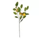 Artificial Garden YELLOW LEMON FRUIT BRANCH 21437 Τεχνητό Διακοσμητικό Κίτρινο Κλαδί Πορτακαλιά Y80cm Artificial Garden YELLOW LEMON FRUIT BRANCH 21437 Τεχνητό Διακοσμητικό Κίτρινο Κλαδί Πορτακαλιά Y80cm