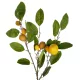 Artificial Garden YELLOW LEMON FRUIT BRANCH 21437 Τεχνητό Διακοσμητικό Κίτρινο Κλαδί Πορτακαλιά Y80cm Artificial Garden YELLOW LEMON FRUIT BRANCH 21437 Τεχνητό Διακοσμητικό Κίτρινο Κλαδί Πορτακαλιά Y80cm