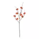 Artificial Garden ORANGE PERSIMMON FRUIT BRANCH 21438 Τεχνητό Διακοσμητικό Πορτοκαλί Κλαδί Λωτός Y83cm Artificial Garden ORANGE PERSIMMON FRUIT BRANCH 21438 Τεχνητό Διακοσμητικό Πορτοκαλί Κλαδί Λωτός Y83cm