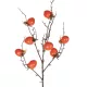 Artificial Garden ORANGE PERSIMMON FRUIT BRANCH 21438 Τεχνητό Διακοσμητικό Πορτοκαλί Κλαδί Λωτός Y83cm Artificial Garden ORANGE PERSIMMON FRUIT BRANCH 21438 Τεχνητό Διακοσμητικό Πορτοκαλί Κλαδί Λωτός Y83cm