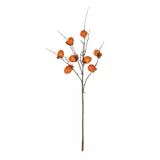 Artificial Garden PERSIMMON FRUIT 21439 Τεχνητό Διακοσμητικό Κλαδί Πορτοκαλί & Καφέ Λωτός Μ35 x Π7 x Υ90cm Artificial Garden PERSIMMON FRUIT 21439 Τεχνητό Διακοσμητικό Κλαδί Πορτοκαλί & Καφέ Λωτός Μ35 x Π7 x Υ90cm