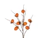 Artificial Garden PERSIMMON FRUIT 21439 Τεχνητό Διακοσμητικό Κλαδί Πορτοκαλί & Καφέ Λωτός Μ35 x Π7 x Υ90cm Artificial Garden PERSIMMON FRUIT 21439 Τεχνητό Διακοσμητικό Κλαδί Πορτοκαλί & Καφέ Λωτός Μ35 x Π7 x Υ90cm