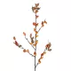 Artificial Garden ORANGE BERRIES FRUIT BRANCH 21444 Τεχνητό Διακοσμητικό Κλαδί Πορτοκαλί Γκί Y94cm Artificial Garden ORANGE BERRIES FRUIT BRANCH 21444 Τεχνητό Διακοσμητικό Κλαδί Πορτοκαλί Γκί Y94cm