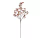 Artificial Garden BROWN BERRIES FRUIT BRANCH 21444 Τεχνητό Διακοσμητικό Κλαδί Κάφε Γκί Y94cm Artificial Garden BROWN BERRIES FRUIT BRANCH 21444 Τεχνητό Διακοσμητικό Κλαδί Κάφε Γκί Y94cm