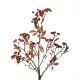 Artificial Garden BROWN BERRIES FRUIT BRANCH 21444 Τεχνητό Διακοσμητικό Κλαδί Κάφε Γκί Y94cm Artificial Garden BROWN BERRIES FRUIT BRANCH 21444 Τεχνητό Διακοσμητικό Κλαδί Κάφε Γκί Y94cm