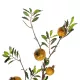 Artificial Garden YELLOW POMEGRANATE FRUIT BRANCH 21445 Τεχνητό Διακοσμητικό Κίτρινη Κλαδί Ροδιά Y85cm Artificial Garden YELLOW POMEGRANATE FRUIT BRANCH 21445 Τεχνητό Διακοσμητικό Κίτρινη Κλαδί Ροδιά Y85cm