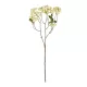 Artificial Garden WHITE BERRIES FRUIT BRANCH 21446 Τεχνητό Διακοσμητικό Κλαδί Λευκό Γκί Y71cm Artificial Garden WHITE BERRIES FRUIT BRANCH 21446 Τεχνητό Διακοσμητικό Κλαδί Λευκό Γκί Y71cm