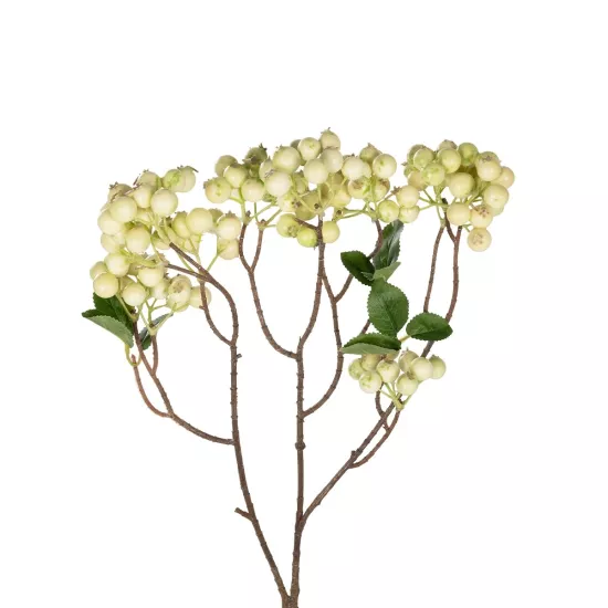 Artificial Garden WHITE BERRIES FRUIT BRANCH 21446 Τεχνητό Διακοσμητικό Κλαδί Λευκό Γκί Y71cm Artificial Garden WHITE BERRIES FRUIT BRANCH 21446 Τεχνητό Διακοσμητικό Κλαδί Λευκό Γκί Y71cm