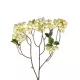Artificial Garden WHITE BERRIES FRUIT BRANCH 21446 Τεχνητό Διακοσμητικό Κλαδί Λευκό Γκί Y71cm Artificial Garden WHITE BERRIES FRUIT BRANCH 21446 Τεχνητό Διακοσμητικό Κλαδί Λευκό Γκί Y71cm