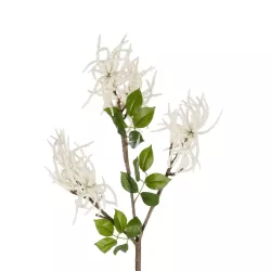 Artificial Garden WHITE AMARANTHUS FRUIT BRANCH 21447 Τεχνητό Διακοσμητικό Κλαδί Λευκός Αμάρανθος Y95cm