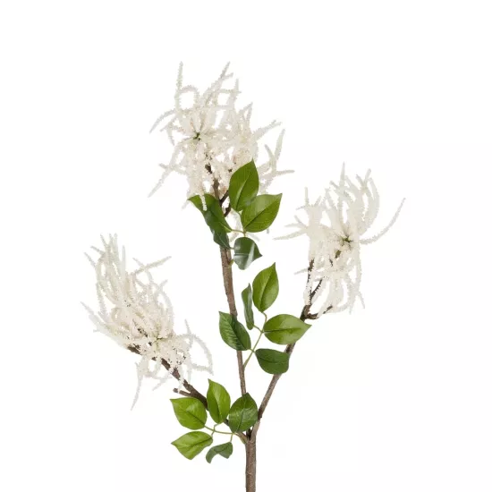 Artificial Garden WHITE AMARANTHUS FRUIT BRANCH 21447 Τεχνητό Διακοσμητικό Κλαδί Λευκός Αμάρανθος Y95cm Artificial Garden WHITE AMARANTHUS FRUIT BRANCH 21447 Τεχνητό Διακοσμητικό Κλαδί Λευκός Αμάρανθος Y95cm
