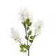 Artificial Garden WHITE AMARANTHUS FRUIT BRANCH 21447 Τεχνητό Διακοσμητικό Κλαδί Λευκός Αμάρανθος Y95cm Artificial Garden WHITE AMARANTHUS FRUIT BRANCH 21447 Τεχνητό Διακοσμητικό Κλαδί Λευκός Αμάρανθος Y95cm