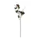 Artificial Garden OLIVE FRUIT BRANCH 21447 Τεχνητό Διακοσμητικό Κλαδί Ελίας Y70cm Artificial Garden OLIVE FRUIT BRANCH 21447 Τεχνητό Διακοσμητικό Κλαδί Ελίας Y70cm