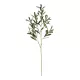 Artificial Garden OLIVE FRUIT BRANCH 21450 Τεχνητό Διακοσμητικό Κλαδί Ελίας Y92cm Artificial Garden OLIVE FRUIT BRANCH 21450 Τεχνητό Διακοσμητικό Κλαδί Ελίας Y92cm
