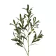 Artificial Garden OLIVE FRUIT BRANCH 21450 Τεχνητό Διακοσμητικό Κλαδί Ελίας Y92cm Artificial Garden OLIVE FRUIT BRANCH 21450 Τεχνητό Διακοσμητικό Κλαδί Ελίας Y92cm