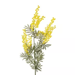 Artificial Garden YELLOW MIMOSA FRUIT BRANCH 21451 Τεχνητό Διακοσμητικό Κλαδί Κίτρινη Μιμόζα Y76cm