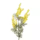 Artificial Garden YELLOW MIMOSA FRUIT BRANCH 21451 Τεχνητό Διακοσμητικό Κλαδί Κίτρινη Μιμόζα Y76cm Artificial Garden YELLOW MIMOSA FRUIT BRANCH 21451 Τεχνητό Διακοσμητικό Κλαδί Κίτρινη Μιμόζα Y76cm