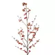 Artificial Garden RED CHERRY BLOSSOM BRANCH 21455 Τεχνητό Διακοσμητικό Κλαδί Κόκκινης Κερασίας Y110cm Artificial Garden RED CHERRY BLOSSOM BRANCH 21455 Τεχνητό Διακοσμητικό Κλαδί Κόκκινης Κερασίας Y110cm
