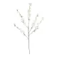 Artificial Garden WHITE GUAXIA FLOWER BRANCH 21456 Τεχνητό Διακοσμητικό Κλαδί Λευκή Γκουάβα Y100cm Artificial Garden WHITE GUAXIA FLOWER BRANCH 21456 Τεχνητό Διακοσμητικό Κλαδί Λευκή Γκουάβα Y100cm