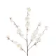 Artificial Garden WHITE GUAXIA FLOWER BRANCH 21456 Τεχνητό Διακοσμητικό Κλαδί Λευκή Γκουάβα Y100cm Artificial Garden WHITE GUAXIA FLOWER BRANCH 21456 Τεχνητό Διακοσμητικό Κλαδί Λευκή Γκουάβα Y100cm