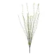 Artificial Garden GREEN WILLOW FLOWER BRANCH 21458 Τεχνητό Διακοσμητικό Κλαδί Λευκή Ιτιά Y86cm Artificial Garden GREEN WILLOW FLOWER BRANCH 21458 Τεχνητό Διακοσμητικό Κλαδί Λευκή Ιτιά Y86cm
