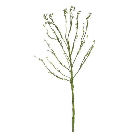 Artificial Garden BIG SPROUT BLOSSOM BRANCH 21461 Τεχνητό Διακοσμητικό Κλαδί Πράσινο Λάχανο Y150cm Artificial Garden BIG SPROUT BLOSSOM BRANCH 21461 Τεχνητό Διακοσμητικό Κλαδί Πράσινο Λάχανο Y150cm