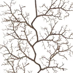 Artificial Garden SMALL CORAL 21463 Τεχνητό Διακοσμητικό Κλαδί Καφέ Μ40 x Π7 x Υ142cm