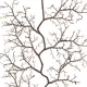 Artificial Garden SMALL CORAL 21463 Τεχνητό Διακοσμητικό Κλαδί Καφέ Μ40 x Π7 x Υ142cm Artificial Garden SMALL CORAL 21463 Τεχνητό Διακοσμητικό Κλαδί Καφέ Μ40 x Π7 x Υ142cm