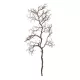 Artificial Garden EXTRA LARGE CORAL BRANCH 21464 Τεχνητό Διακοσμητικό Κλαδί Koράλι Y110cm Artificial Garden EXTRA LARGE CORAL BRANCH 21464 Τεχνητό Διακοσμητικό Κλαδί Koράλι Y110cm