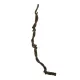 Artificial Garden VINE BRANCH 21465 Τεχνητό Διακοσμητικό Κλαδί Αμπελιού Y170cm Artificial Garden VINE BRANCH 21465 Τεχνητό Διακοσμητικό Κλαδί Αμπελιού Y170cm
