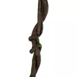 Artificial Garden VINE BRANCH 21465 Τεχνητό Διακοσμητικό Κλαδί Αμπελιού Y170cm