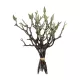 Artificial Garden GREEN ORCHID BOUQET 21466 Τεχνητό Διακοσμητικό Μπουκέτο Πράσινη Ορχιδέα Y34cm Artificial Garden GREEN ORCHID BOUQET 21466 Τεχνητό Διακοσμητικό Μπουκέτο Πράσινη Ορχιδέα Y34cm