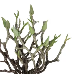 Artificial Garden GREEN ORCHID BOUQET 21466 Τεχνητό Διακοσμητικό Μπουκέτο Πράσινη Ορχιδέα Y34cm