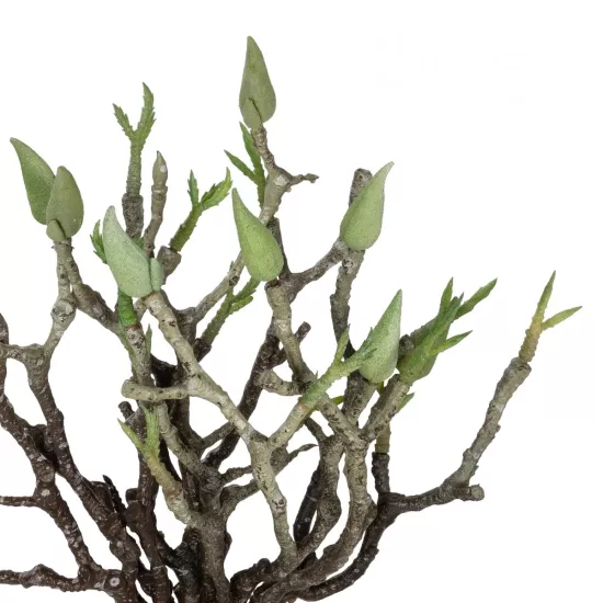 Artificial Garden GREEN ORCHID BOUQET 21466 Τεχνητό Διακοσμητικό Μπουκέτο Πράσινη Ορχιδέα Y34cm Artificial Garden GREEN ORCHID BOUQET 21466 Τεχνητό Διακοσμητικό Μπουκέτο Πράσινη Ορχιδέα Y34cm