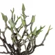 Artificial Garden GREEN ORCHID BOUQET 21466 Τεχνητό Διακοσμητικό Μπουκέτο Πράσινη Ορχιδέα Y34cm Artificial Garden GREEN ORCHID BOUQET 21466 Τεχνητό Διακοσμητικό Μπουκέτο Πράσινη Ορχιδέα Y34cm
