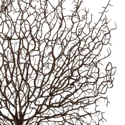 Artificial Garden BROWN CORAL BRANCH 21467 Τεχνητό Διακοσμητικό Κλαδί Καφέ Koράλι Y49cm