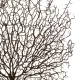 Artificial Garden BROWN CORAL BRANCH 21467 Τεχνητό Διακοσμητικό Κλαδί Καφέ Koράλι Y49cm Artificial Garden BROWN CORAL BRANCH 21467 Τεχνητό Διακοσμητικό Κλαδί Καφέ Koράλι Y49cm