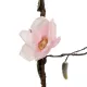 Artificial Garden MANGOLIA FLOWER VINE 21469 Τεχνητό Διακοσμητικό Κλαδί Μανόλιας Y180cm Artificial Garden MANGOLIA FLOWER VINE 21469 Τεχνητό Διακοσμητικό Κλαδί Μανόλιας Y180cm