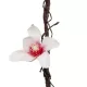 Artificial Garden MANGOLIA FLOWER VINE 21470 Τεχνητό Διακοσμητικό Κλαδί Μανόλιας Y185cm Artificial Garden MANGOLIA FLOWER VINE 21470 Τεχνητό Διακοσμητικό Κλαδί Μανόλιας Y185cm