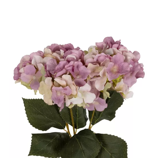Artificial Garden PURPLE ORTENSIA GRASS BRANCH 21487 Τεχνητό Διακοσμητικό Κλαδί Μωβ Ορτανσίας Y43cm Artificial Garden PURPLE ORTENSIA GRASS BRANCH 21487 Τεχνητό Διακοσμητικό Κλαδί Μωβ Ορτανσίας Y43cm