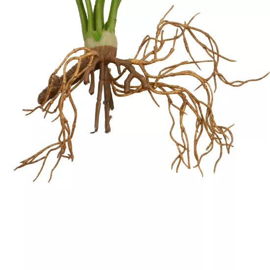 Artificial Garden BEGONIA LEAVES ROOTED 21489 Τεχνητό Διακοσμητικό Φυτό Πολύχρωμη Βιγόνια Μ25 x Π14 x Υ35cm