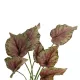 Artificial Garden BEGONIA LEAVES ROOTED 21490 Τεχνητό Διακοσμητικό Φυτό Πολύχρωμη Βιγόνια Μ25 x Π14 x Υ35cm