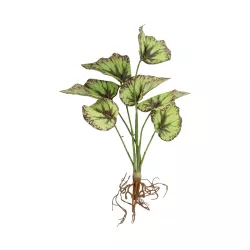 Artificial Garden BEGONIA LEAVES ROOTED 21491 Τεχνητό Διακοσμητικό Φυτό Πολύχρωμη Βιγόνια Μ25 x Π14 x Υ35cm